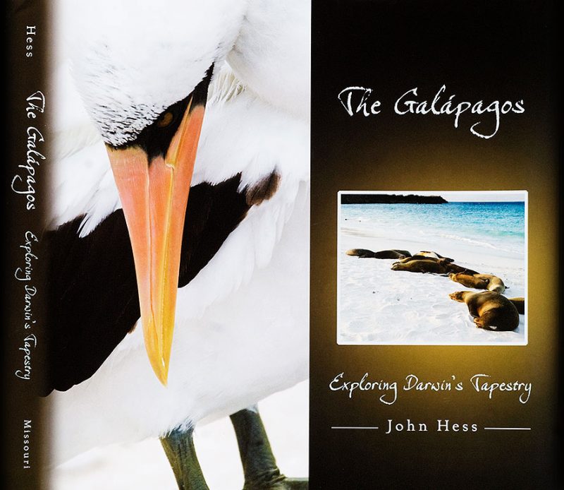6.-Galapagos-book-cover